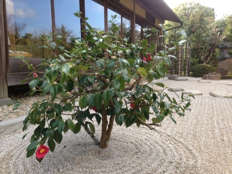 c0310987_09584470.jpeg