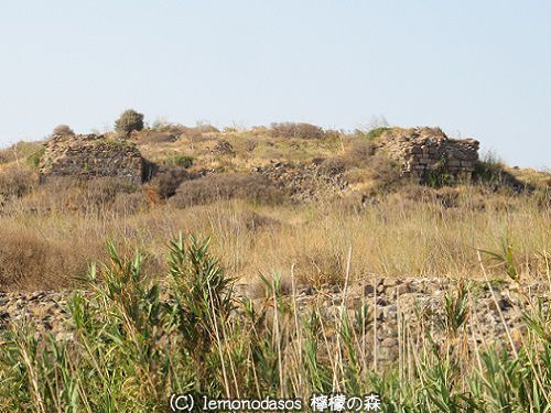 レスボス島　古代アンディサの海岸に流れ着いたオルフェウスの首_c0010496_08231522.jpg