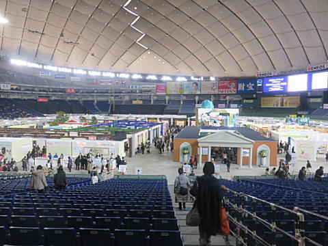 東京国際キルトフェスティバル 2017_d0046702_06493185.jpg