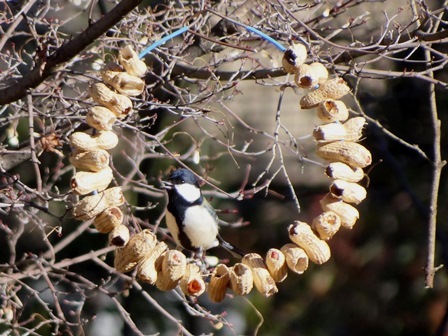 すみれば探検隊「鳥たちとあそぼう」_b0049307_17144664.jpg