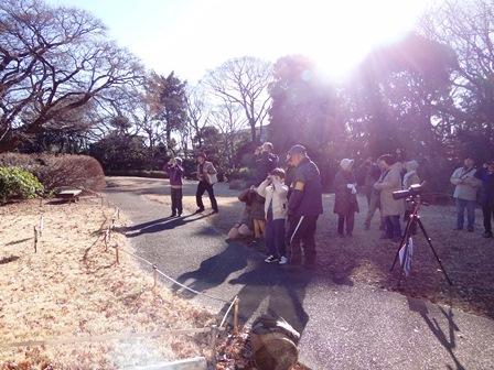 すみれば探検隊「鳥たちとあそぼう」_b0049307_17250401.jpg