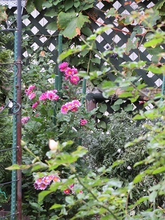 f0325309_16221440.jpg