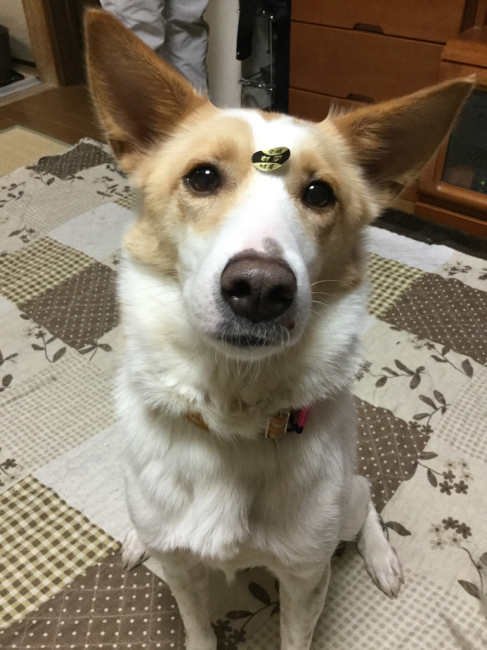 かんぺー_f0329311_21020752.jpg
