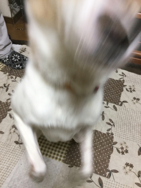 かんぺー_f0329311_21020866.jpg
