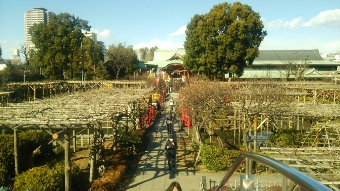 b0133713_20293280.jpg