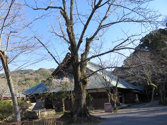 c0192215_21104353.jpg