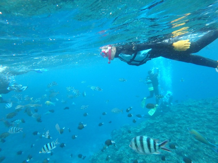 a0114816_15113828.jpg