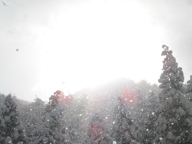 f0341616_15024765.jpg