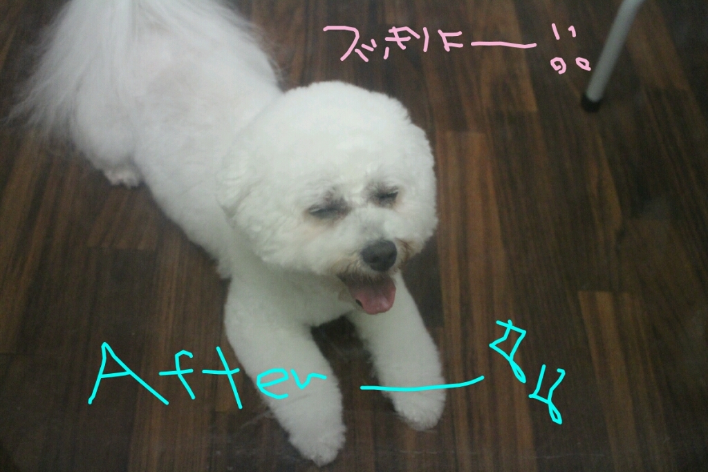 寒がり_b0130018_19395083.jpg