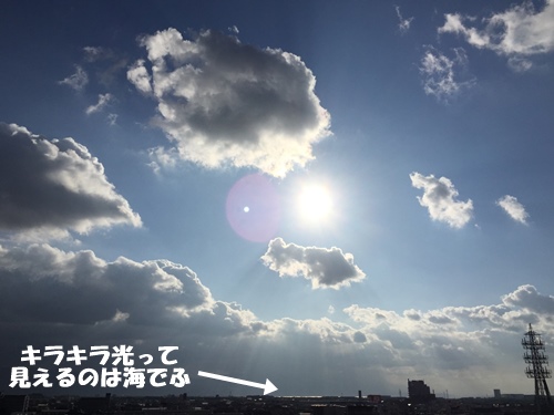 f0251618_213102.jpg