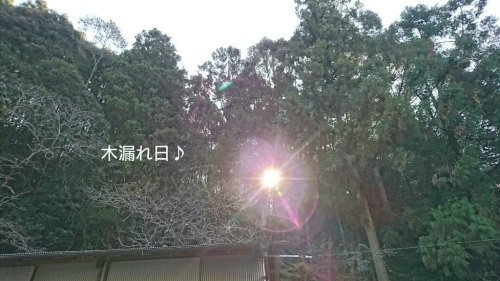b0187620_19502399.jpg
