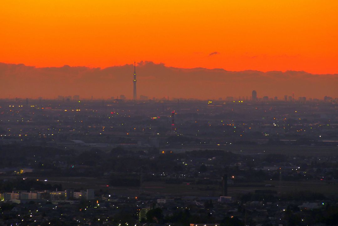 東京スカイツリーが良く見えた。長距離視程のお陰♪_a0031821_15470768.jpg