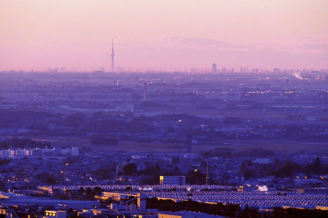 東京スカイツリーが良く見えた。長距離視程のお陰♪_a0031821_15544135.jpg