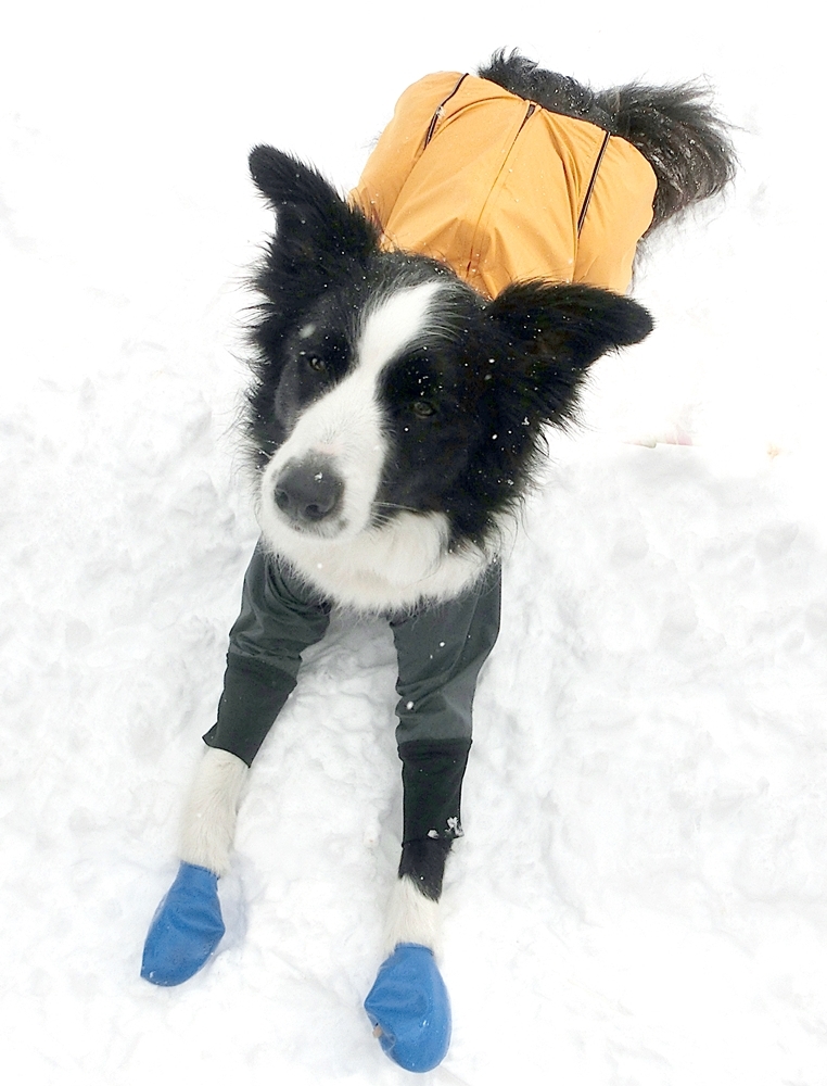 Snow Trekking in Minakami   みなかみスノートレッキング_b0279527_13004736.jpg