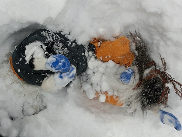 Snow Trekking in Minakami   みなかみスノートレッキング_b0279527_13095474.jpg