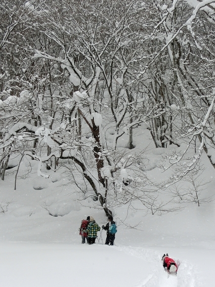 b0279527_13355137.jpg