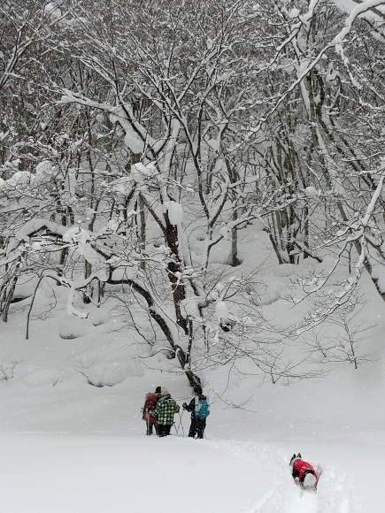 Snow Trekking in Minakami   みなかみスノートレッキング_b0279527_13355137.jpg