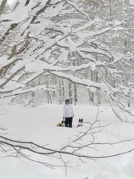 Snow Trekking in Minakami   みなかみスノートレッキング_b0279527_13363820.jpg