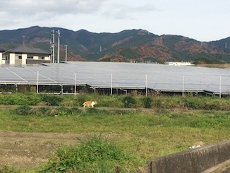 f0359927_14255321.jpg