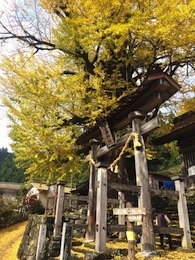 f0359927_15383944.jpg