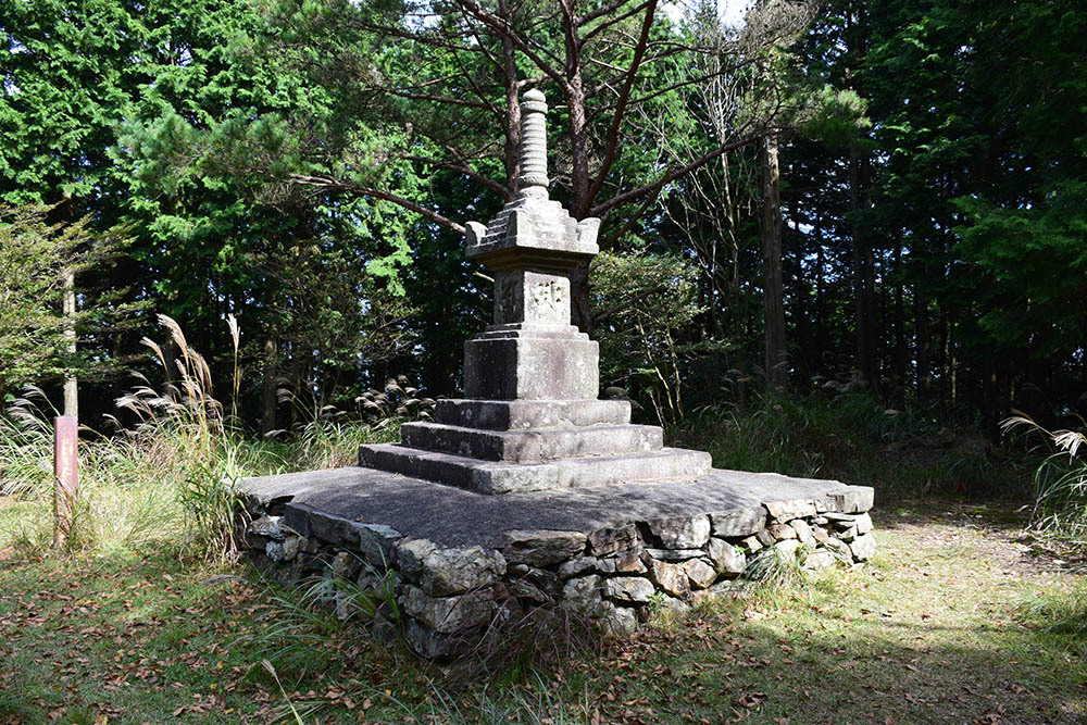 太平記を歩く。 その5 「鷲峰山金胎寺」 京都府相楽郡和束町_e0158128_21061529.jpg