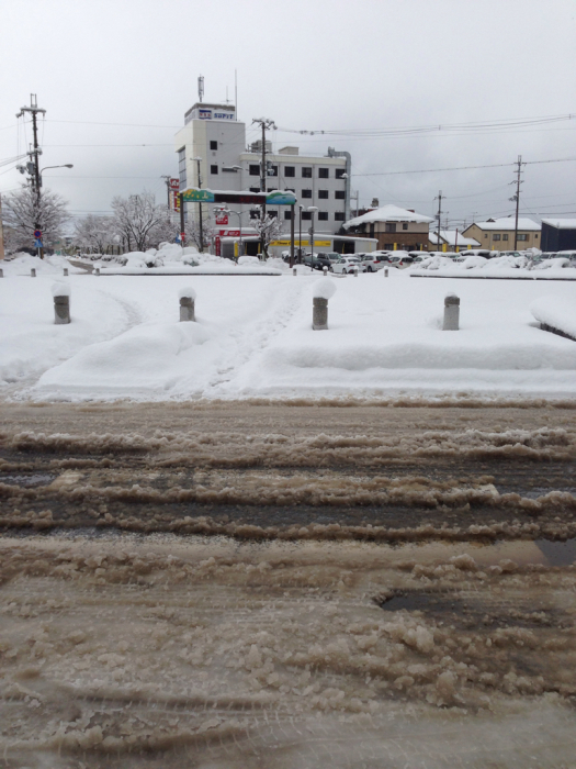 雪の中でブーケの撮影_f0155431_21430846.jpg