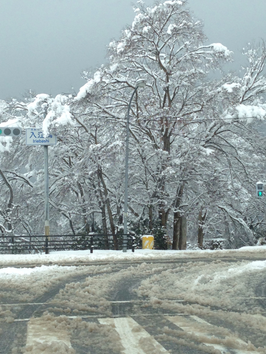 雪の中でブーケの撮影_f0155431_21431008.jpg