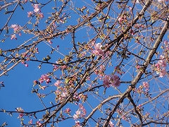 c0147935_20184635.jpg
