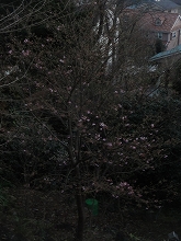 c0147935_204682.jpg