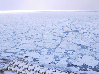 d0032736_13594189.png