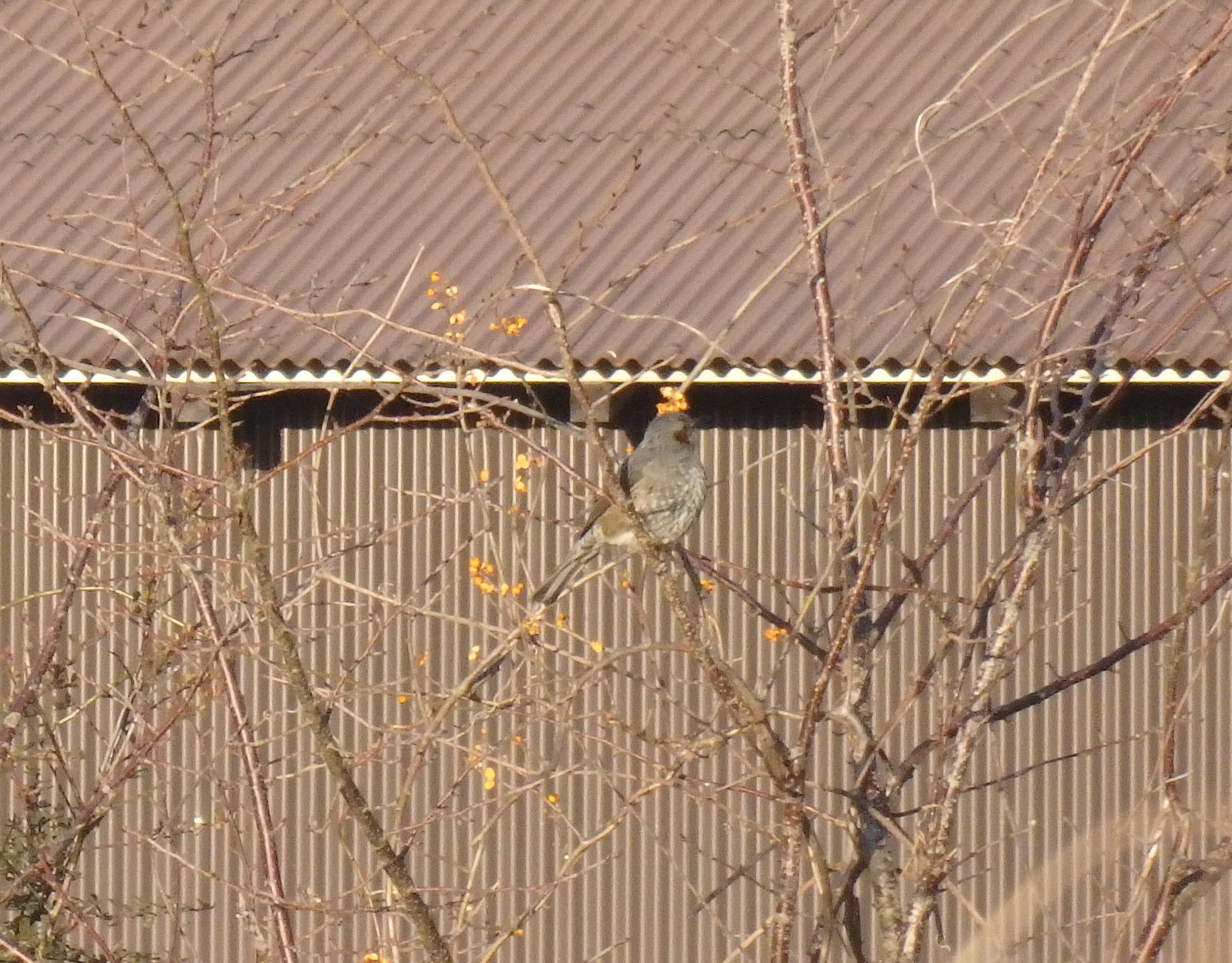 a0054240_2163677.jpg