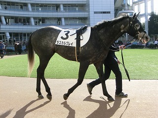 e0067640_15201666.jpg
