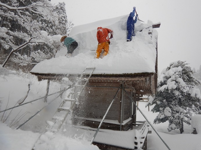 久多の積雪120センチ超 : きょうも久多日和 京都市最北の山里から