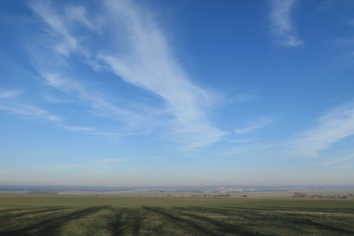e0300042_218162.jpg