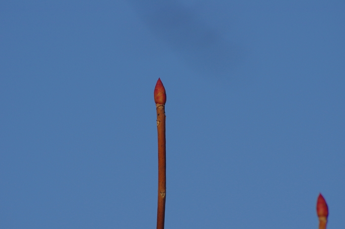c0243343_19142785.jpg