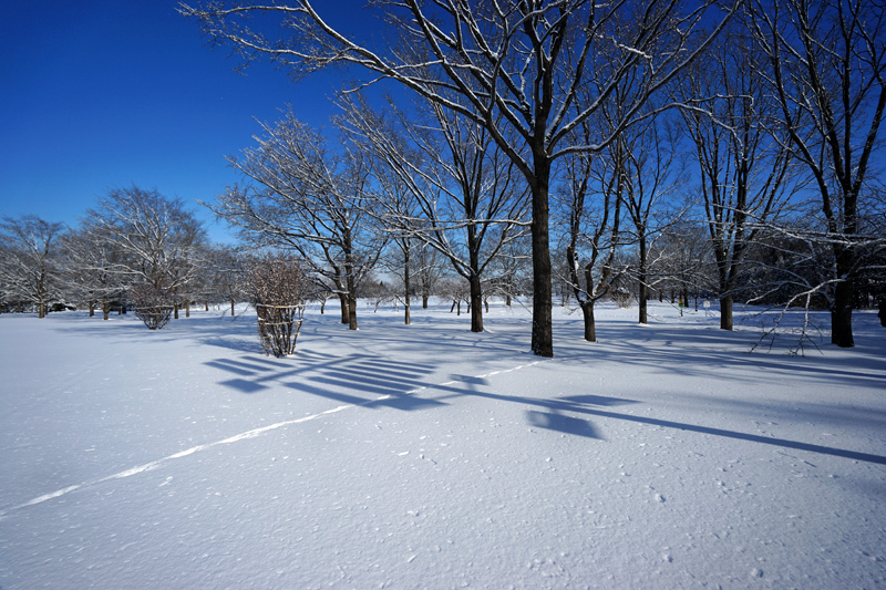 厳寒の雪景色_a0112747_10170914.jpg