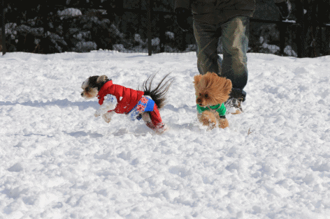 c0145250_09551510.gif