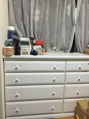 1年分頑張った気分(まだ終わっていないのに・・・)_b0307951_22514478.jpg