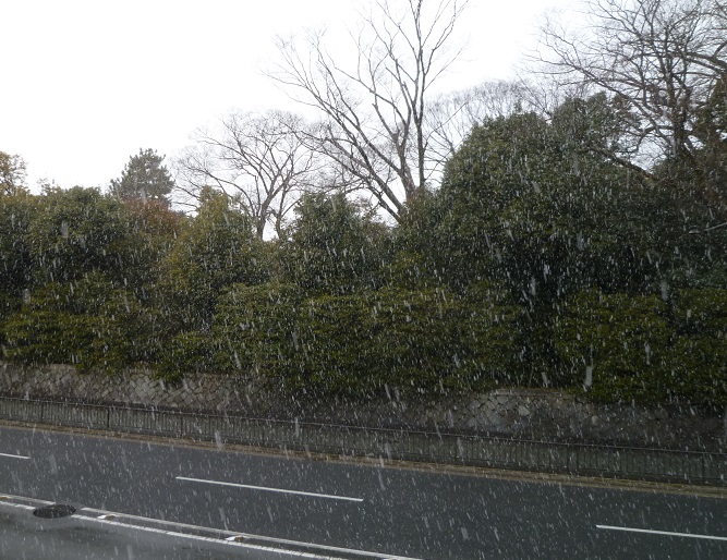 格子の大島のお客様・梅のつまみ細工の帯留。_f0181251_1713206.jpg
