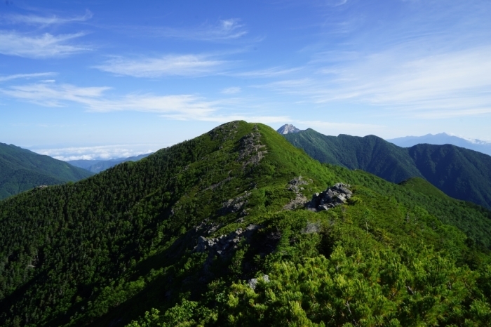 そして大団円へ①＠小太郎山 2016.07.16(土)～18(月)_f0344554_21595163.jpg