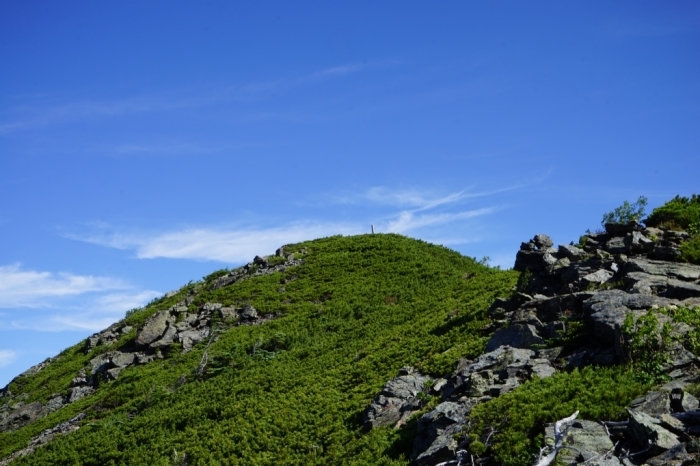 そして大団円へ①＠小太郎山 2016.07.16(土)～18(月)_f0344554_22000188.jpg