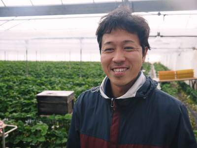 熊本イチゴ『さがほのか』 2番花の果実の収穫最盛期!安心・安全な朝採りイチゴお届けします!_a0254656_17573586.jpg