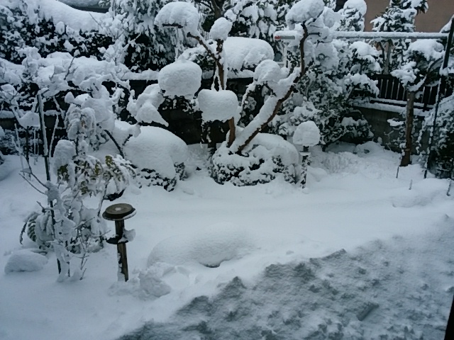 f0153475_814147.jpg