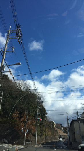 かご_a0164280_21450948.jpg
