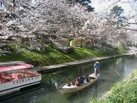 富山　松川の桜とチンドン祭り_c0229483_1023375.jpg