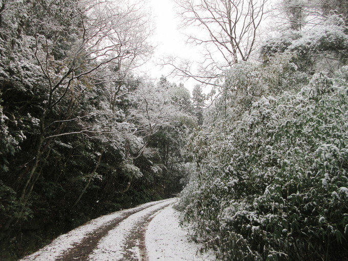 f0053885_18565344.jpg