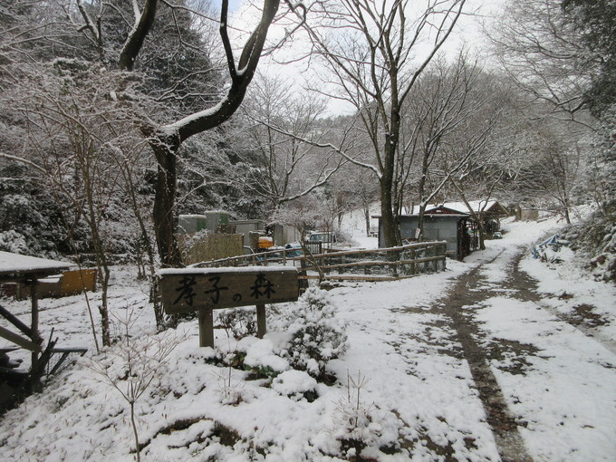 f0053885_19135315.jpg