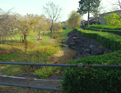 b0123486_16244275.jpg