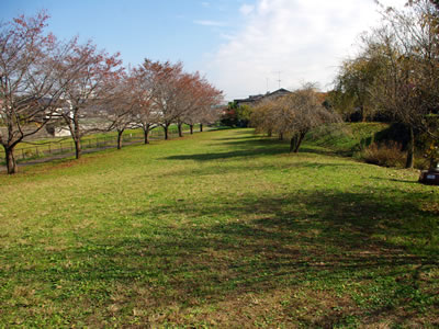b0123486_16384879.jpg