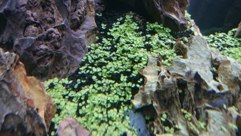 e0219497_23263099.jpg
